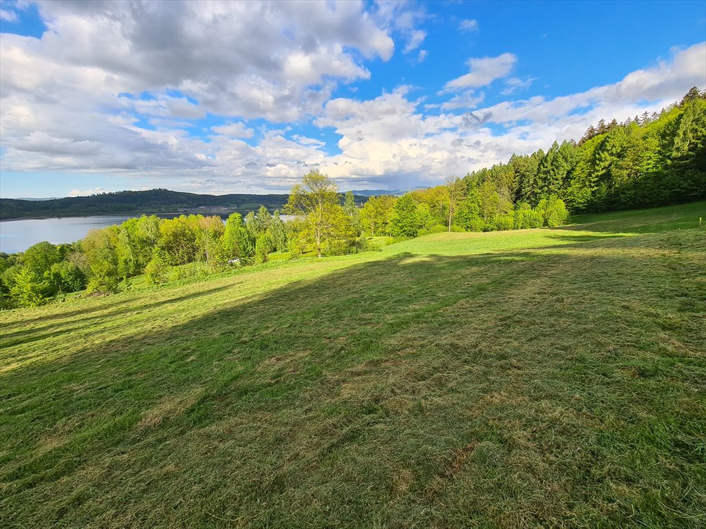 Działka budowlana na sprzedaż Podgórzyn, Nowa  1 100m2 Foto 6