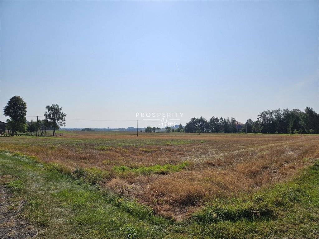 Działka budowlana na sprzedaż Rębiska, Jodłowa  1 004m2 Foto 5