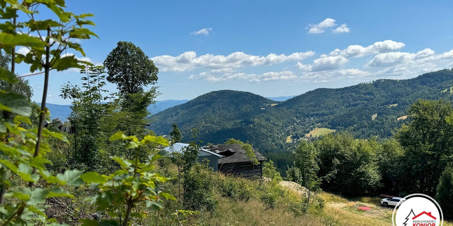 Działka rolna na sprzedaż Szczyrk, Migdalskie  4 838m2 Foto 3