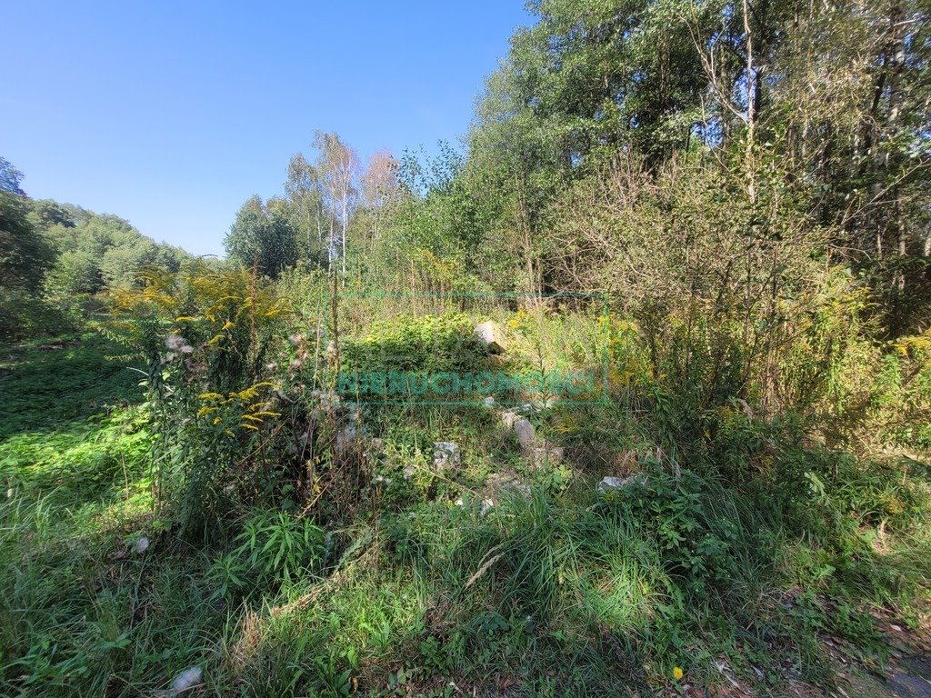 Działka budowlana na sprzedaż Radonie  1 500m2 Foto 10