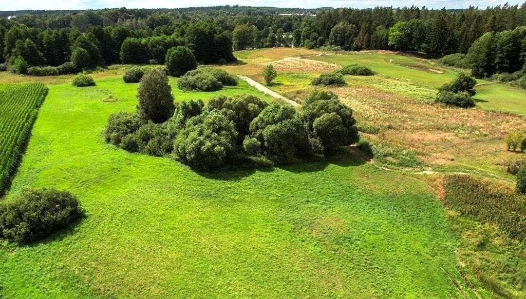 Działka rolna na sprzedaż Świętajno  1 609m2 Foto 2