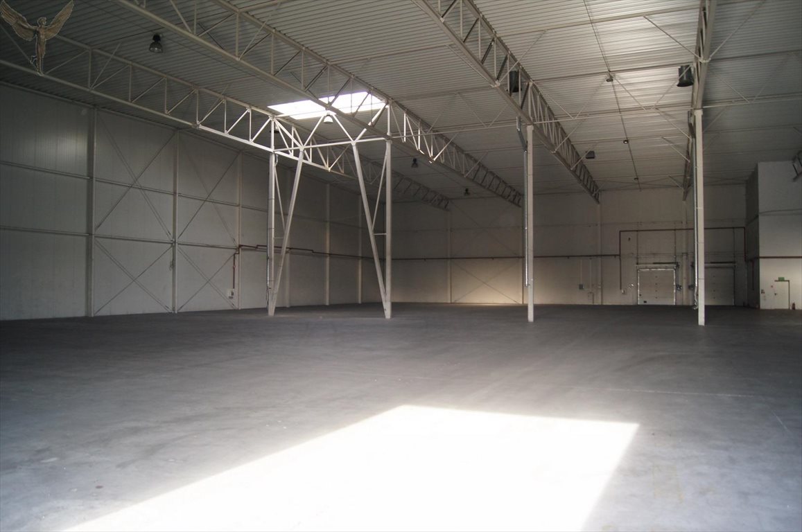 Magazyn na sprzedaż Kórnik  14 500m2 Foto 9
