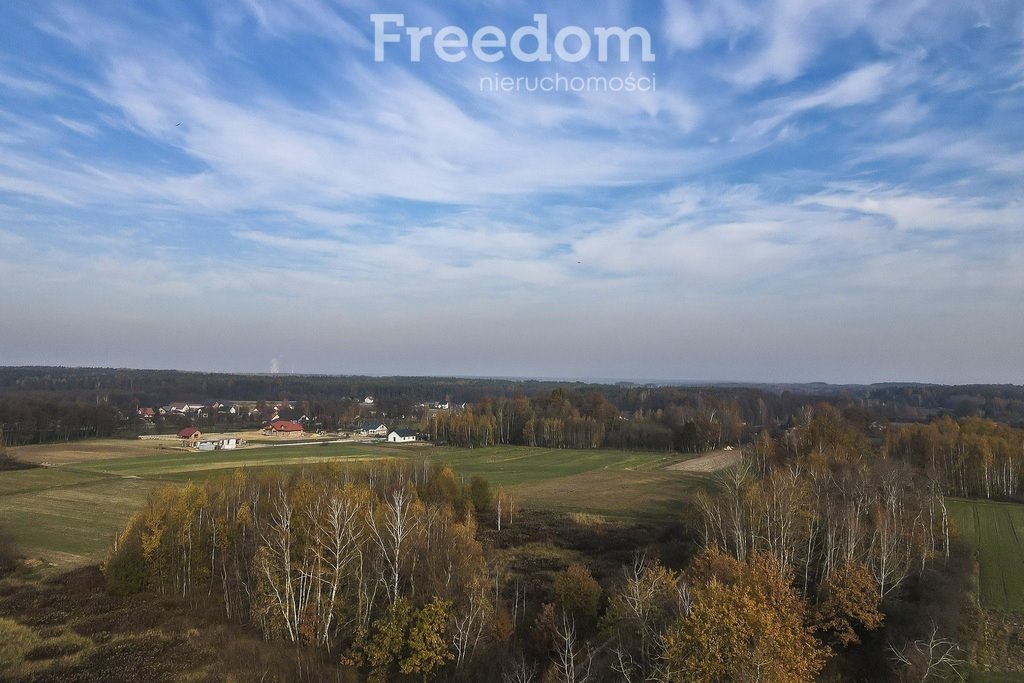 Działka budowlana na sprzedaż Maleniska  6 714m2 Foto 5