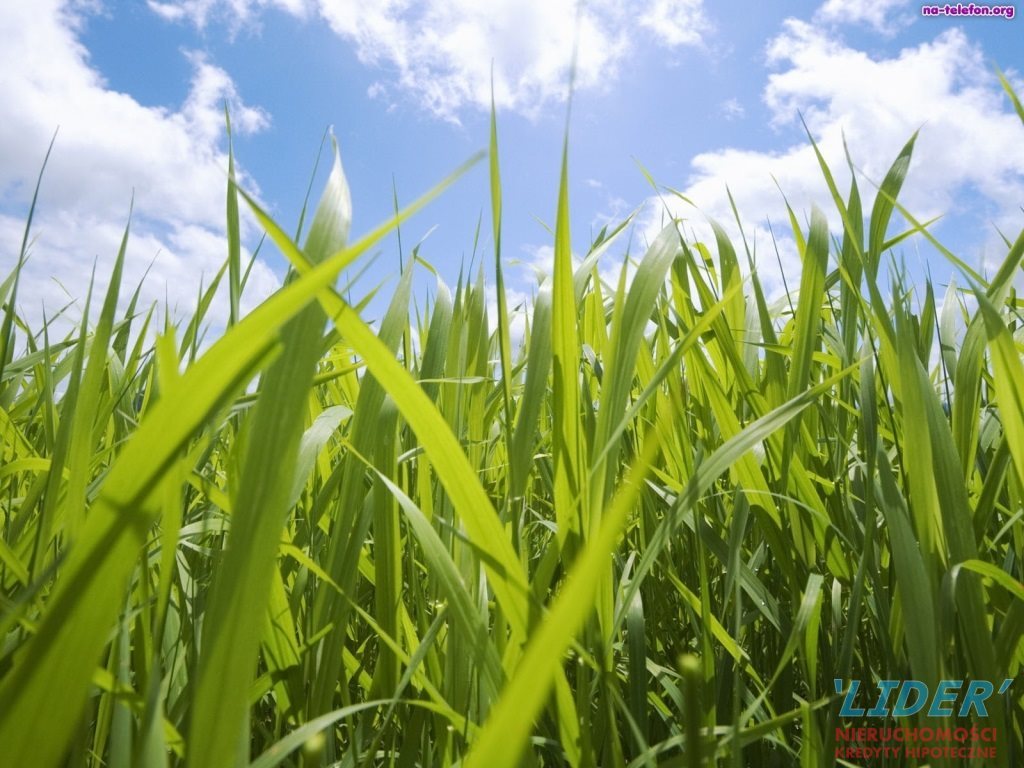 Działka budowlana na sprzedaż Międzyrzecze 1 079m2 Foto 1 Działka budowlana na sprzedaż Międzyrzecze 1 079m2 Foto 1