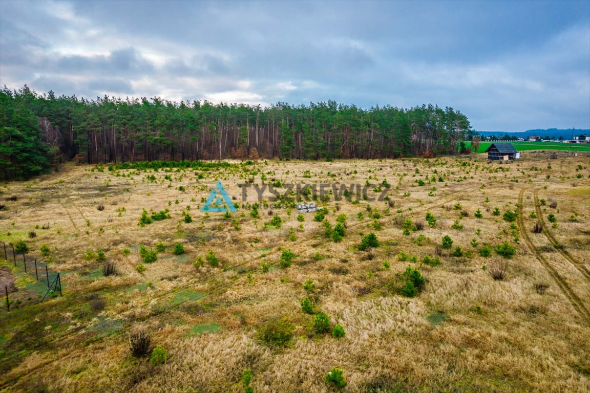 Działka budowlana na sprzedaż Żuromino  1 173m2 Foto 8