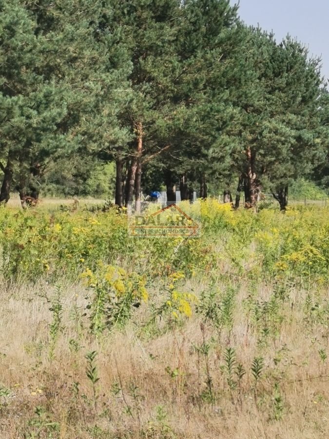 Działka budowlana na sprzedaż Zawodne  1 200m2 Foto 3