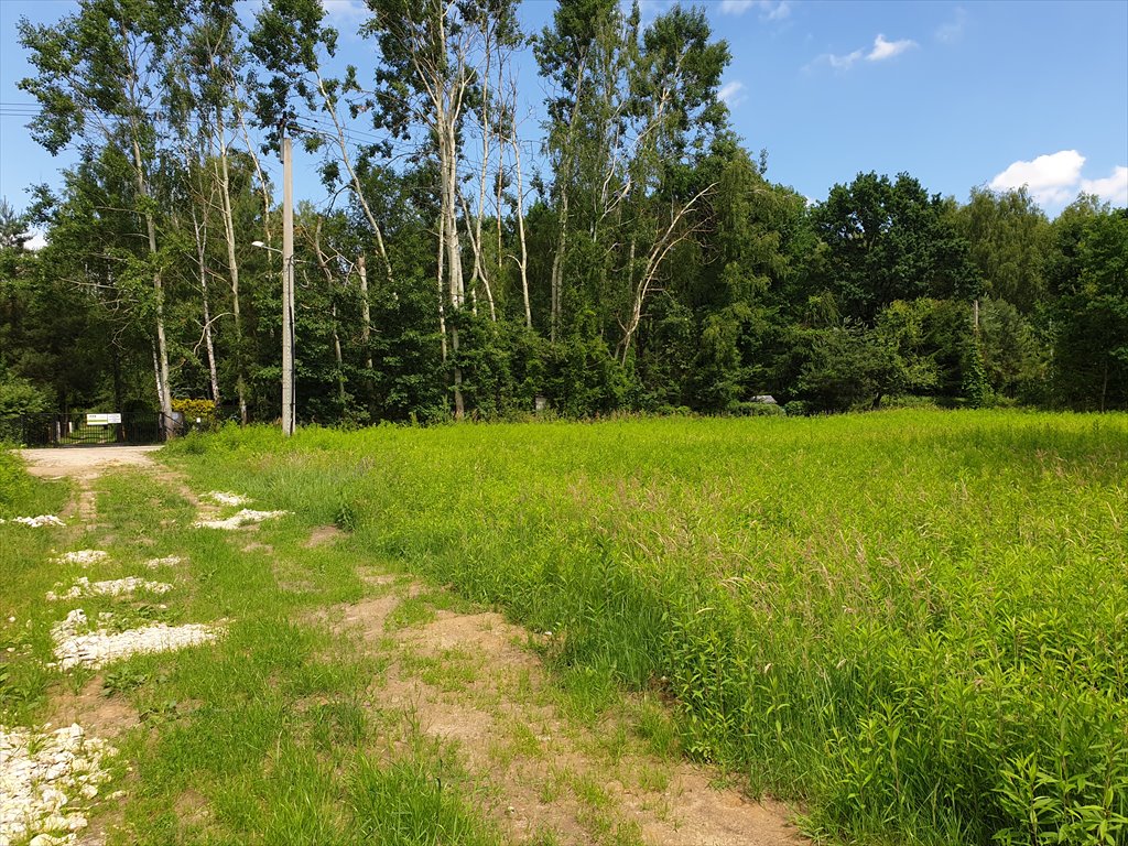 Działka budowlana na sprzedaż Nowy Prażmów  1 029m2 Foto 10