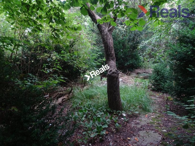 Działka budowlana na sprzedaż Piastów 1 394m2 Foto 1 Działka budowlana na sprzedaż Piastów 1 394m2 Foto 1