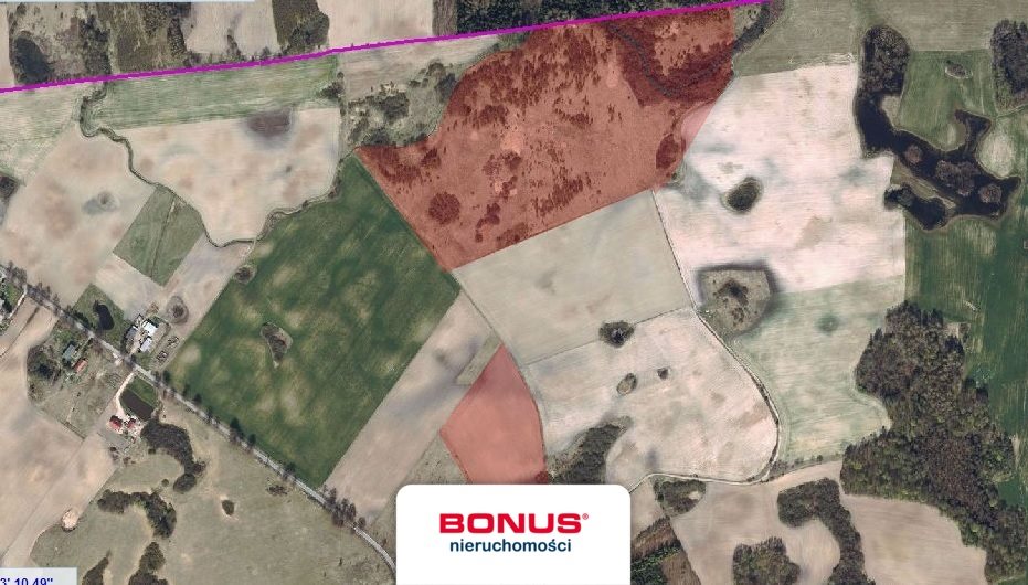 Duża działka 14,14 ha z dojazdem asfaltowym i szutrowym Gradki  141 400m2 Foto 1