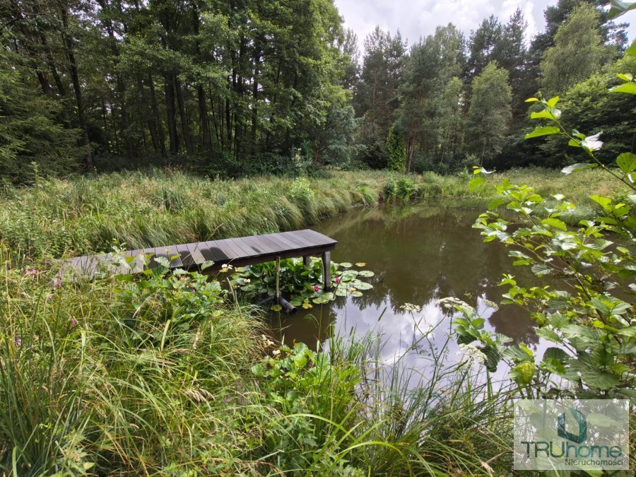 Działka 14 348 m² z lasem i jeziorem - polecam Hutka  14 348m2 Foto 1