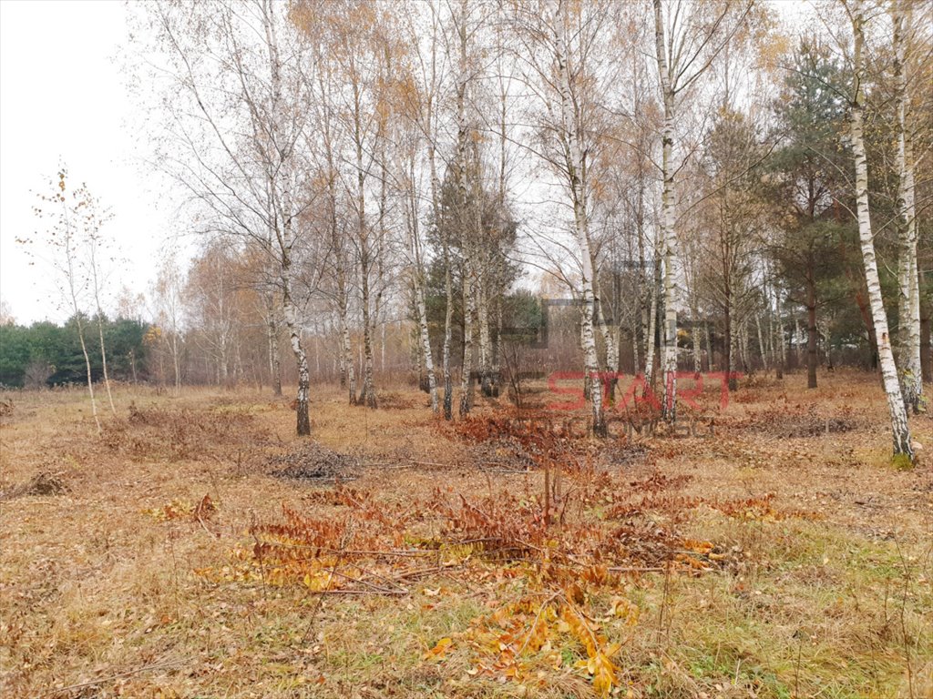 Działka budowlana na sprzedaż Osowiec  1 230m2 Foto 7