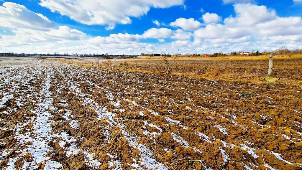 Działka budowlana 35 arów, cicha okolica, media w sąsiedztwie Płouszowice-Kolonia  3 500m2 Foto 1