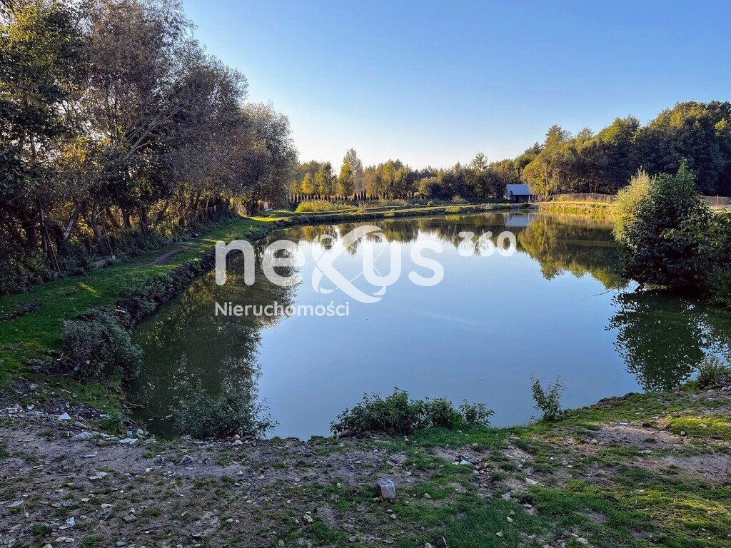 Działka inwestycyjna na sprzedaż Łuczyna  15 000m2 Foto 2