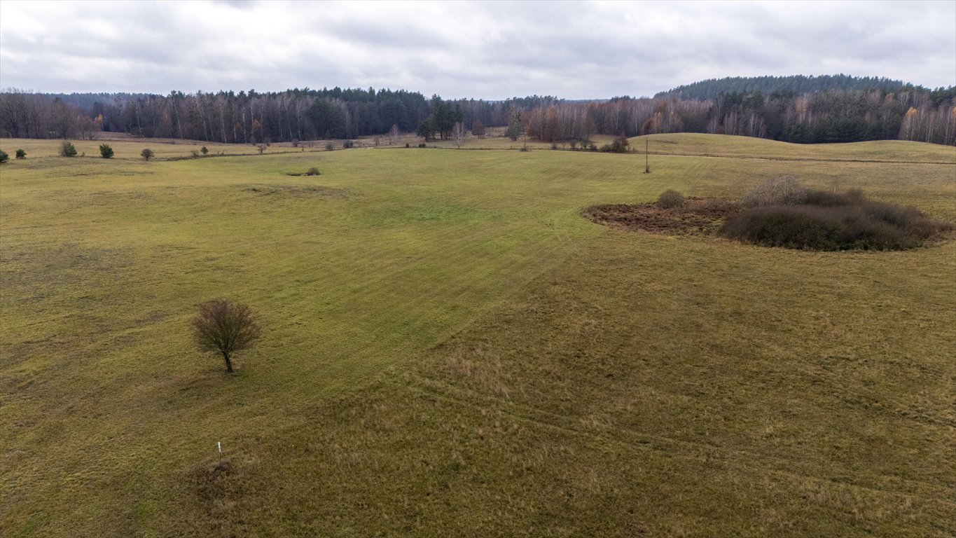 Działka budowlana na sprzedaż Małszewo  3 160m2 Foto 14