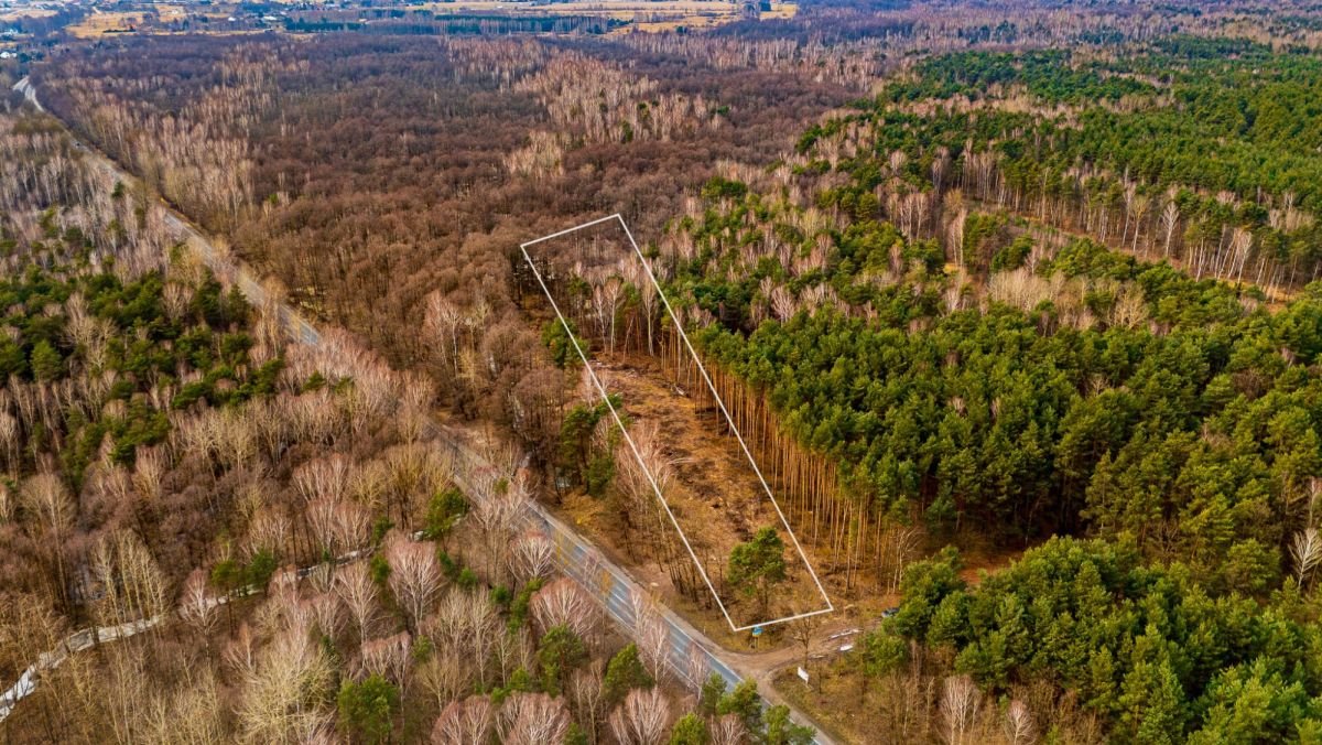 Działka zalesiona 8 221 m² w Załużu – potencjał inwestycyjny Załuże  8 221m2 Foto 1