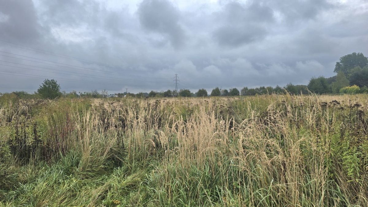 Duża działka pod inwestycję w Rzeszowie, 82 ar, media Rzeszów, Pogwizdowska  8 200m2 Foto 1