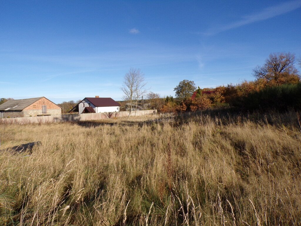 Działka budowlana na sprzedaż Wierzchocino  1 305m2 Foto 11