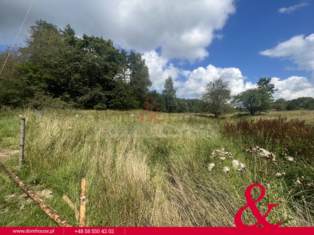 Działka budowlana na sprzedaż Gromadzin  3 300m2 Foto 2