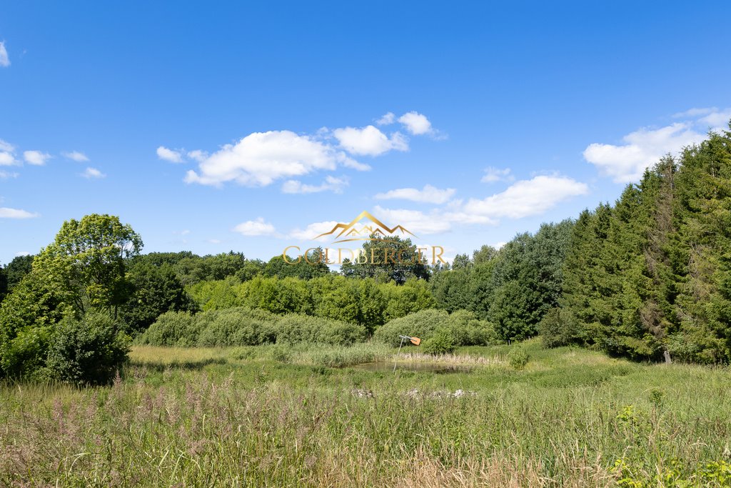 Działka z stawem i zielenią w Wierzchowie - zapraszam Wierzchowo  2 998m2 Foto 1