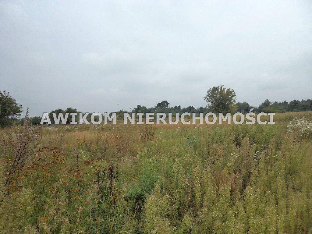 Do sprzedania duża działka 30 335 m² pod inwestycję w Pieńkach Słubickich Żabia Wola, Pieńki Słubickie  30 335m2 Foto 1