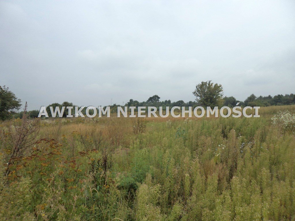 Działka rolna na sprzedaż Żabia Wola, Pieńki Słubickie  30 335m2 Foto 1