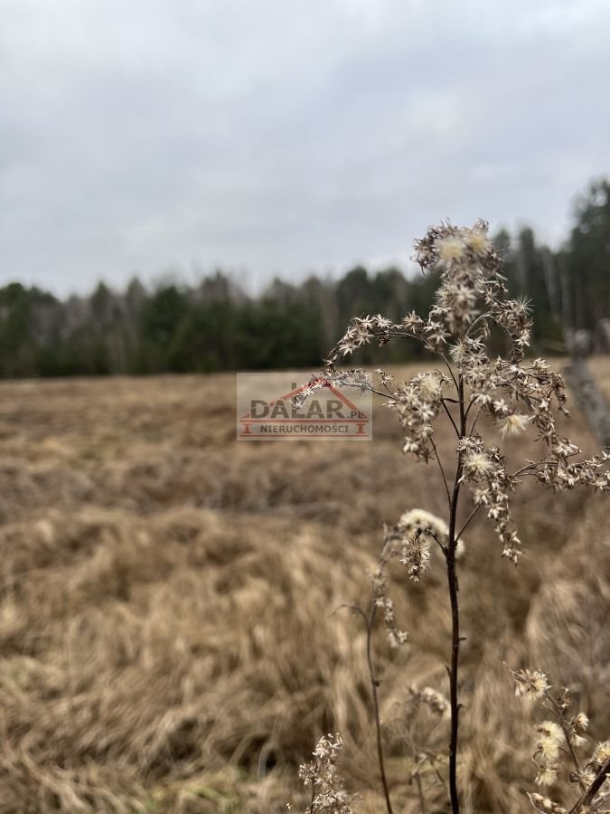 Działka 1000 m² z możliwością podziału w Białym Ługu Biały Ług  1 000m2 Foto 1