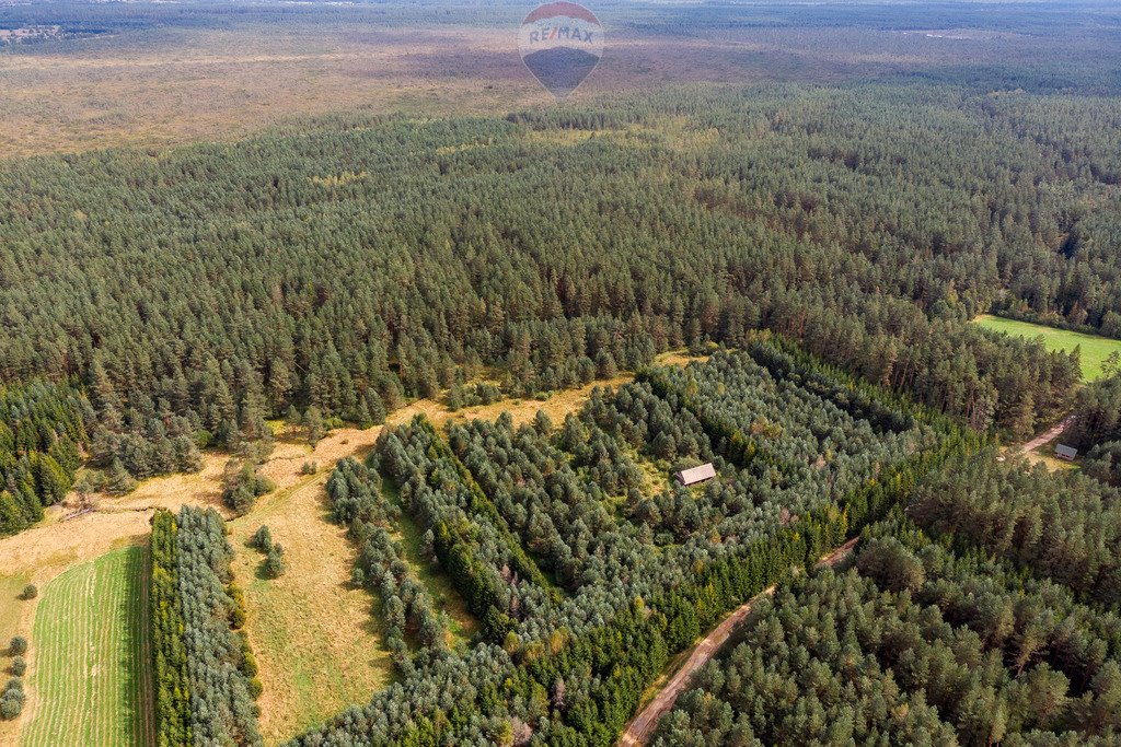 Działka rolna na sprzedaż Jabłonka, Leśna  20 000m2 Foto 7