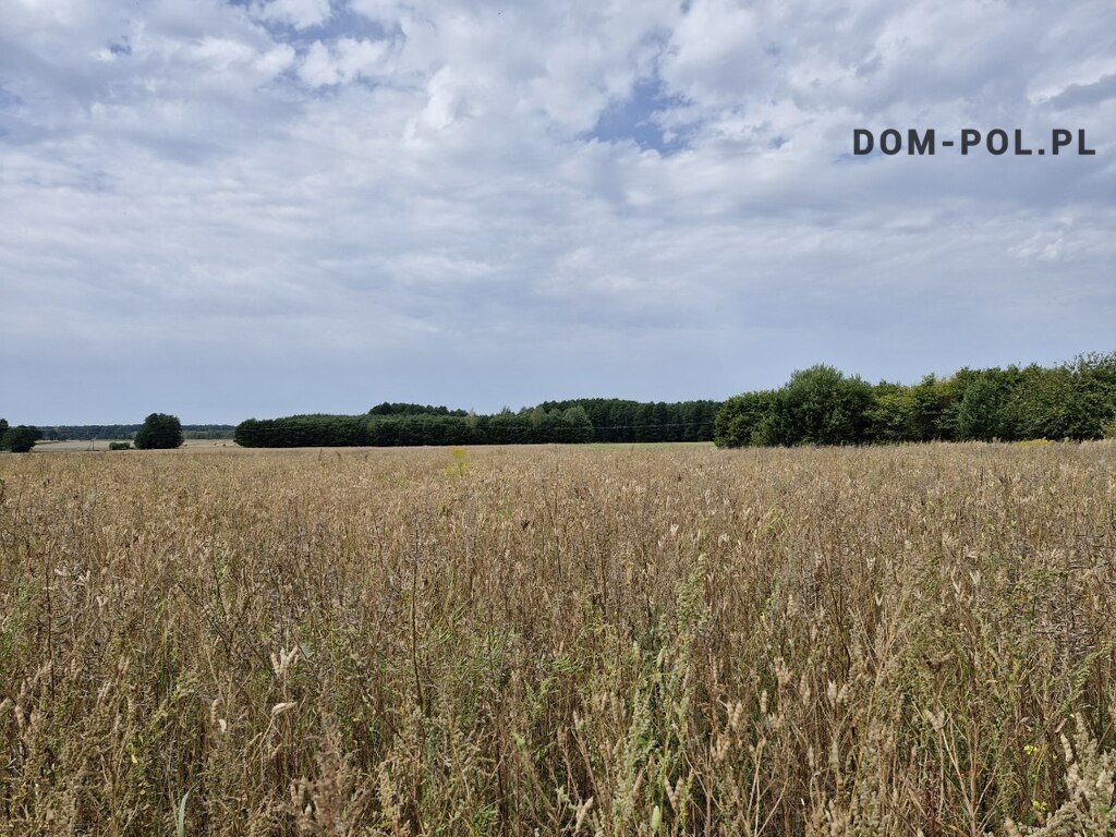 Działka rolna na sprzedaż Malinówka  47 458m2 Foto 1