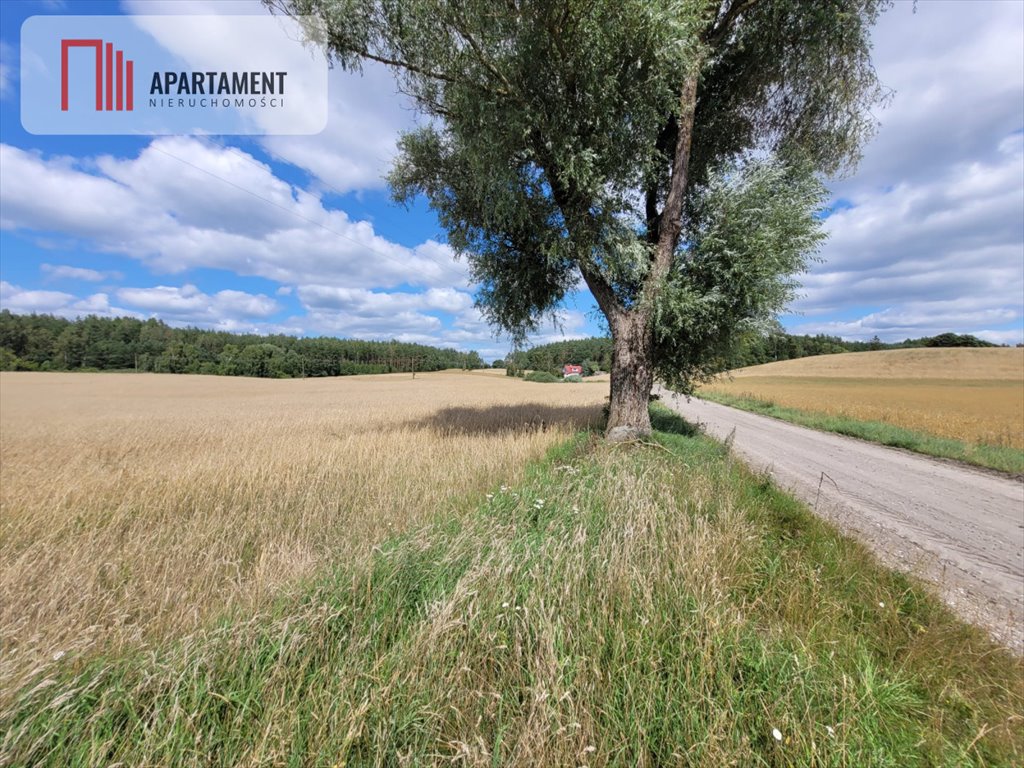 Działka gospodarstwo rolne na sprzedaż Skorzewo  6 000m2 Foto 6