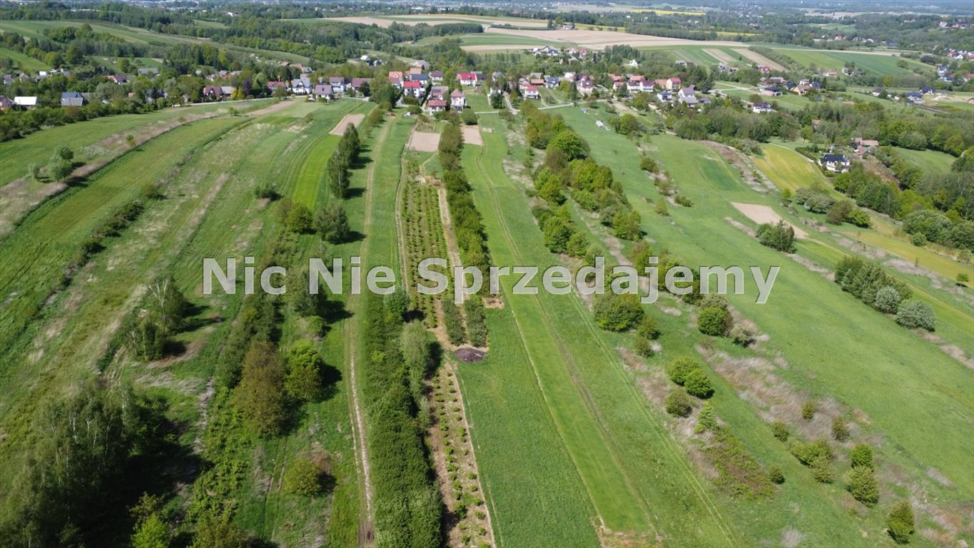 Działka rolna na sprzedaż Dębno, Łysa Góra  7 000m2 Foto 2