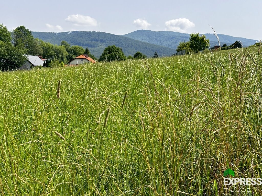 Działka budowlana na sprzedaż Jaworze, Ustronna  1 069m2 Foto 1