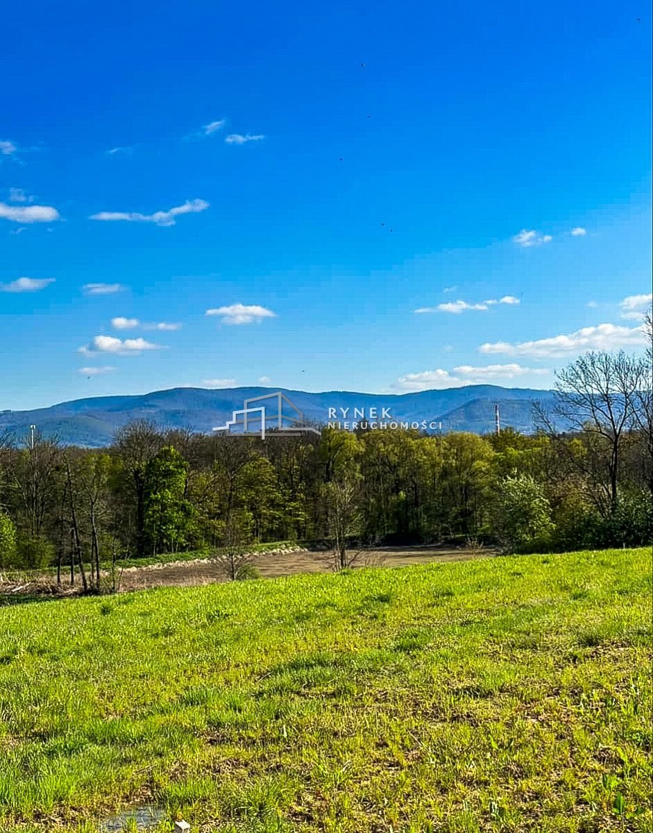 Działka inna na sprzedaż Międzyrzecze Dolne  3 030m2 Foto 11