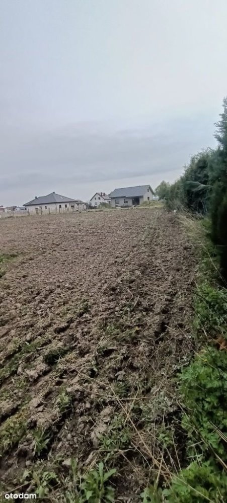 Działka budowlana na sprzedaż Kostrzyn, Czerlejno  1 011m2 Foto 4