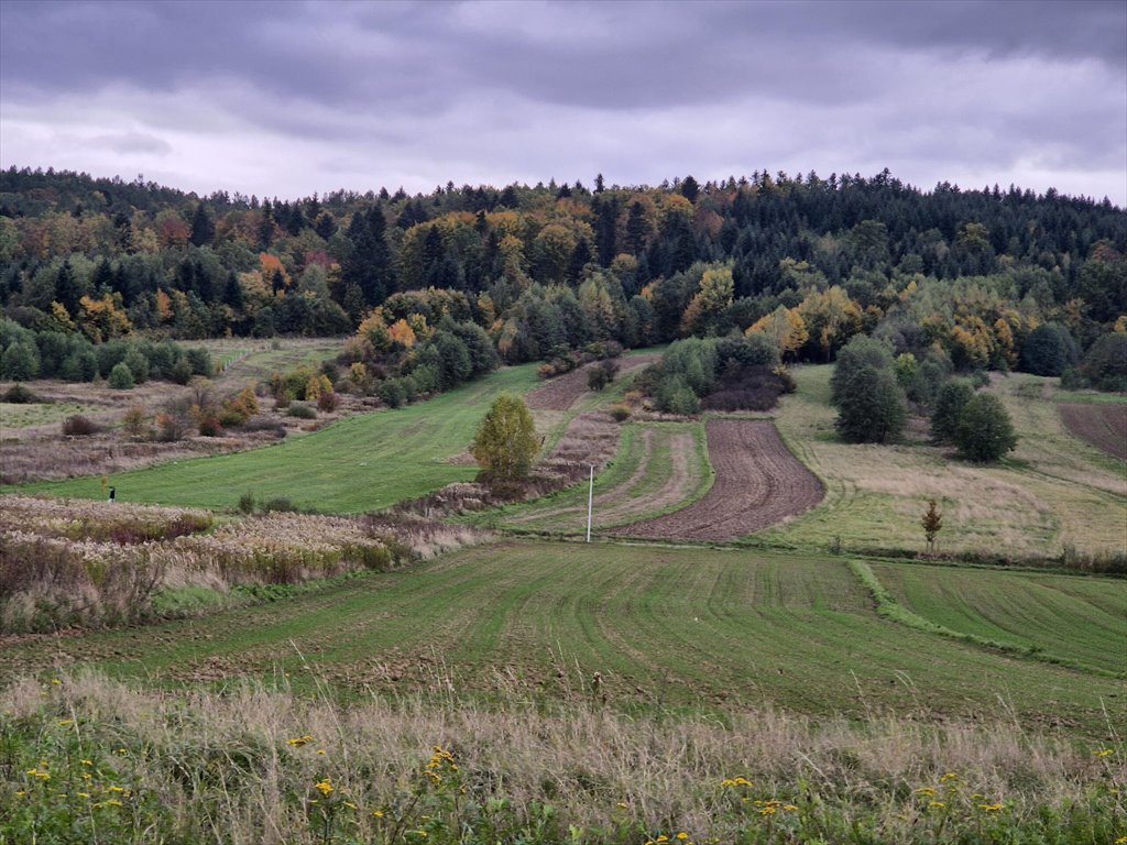 Działka rolna na sprzedaż Długie  1 910m2 Foto 2