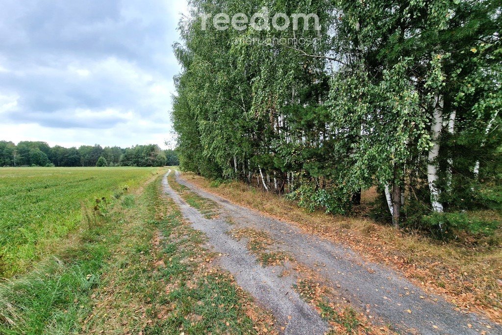 Działka inna na sprzedaż Musiejówka  8 100m2 Foto 6