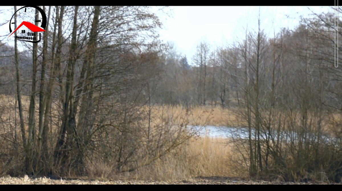 Działka gospodarstwo rolne na sprzedaż Kozjaty  8 000m2 Foto 7