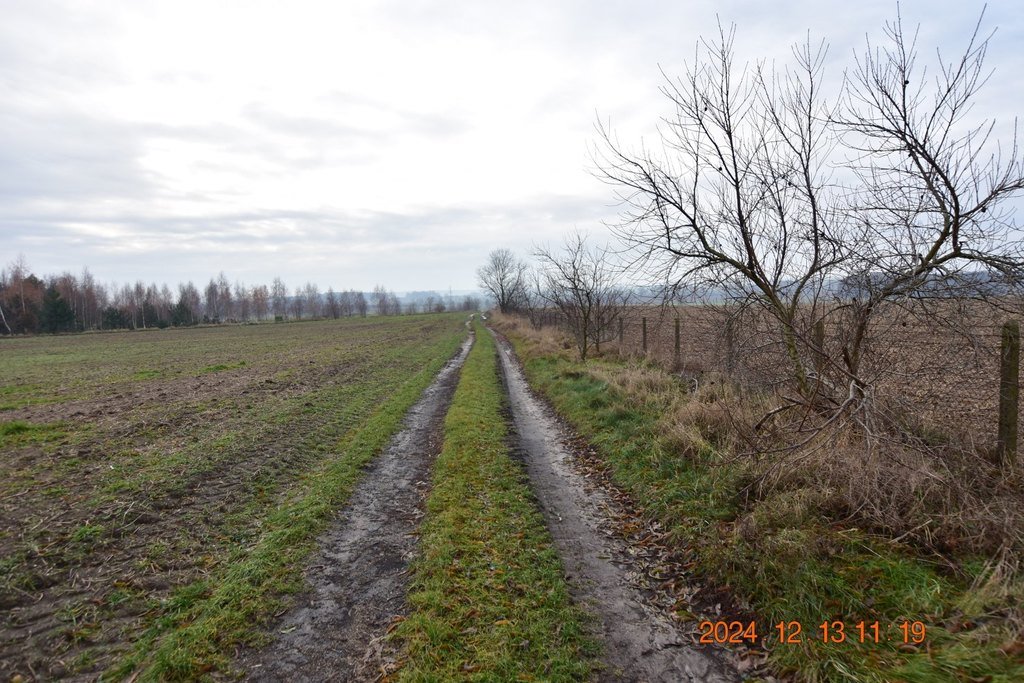 Działka budowlana na sprzedaż Syców, Polna  1 237m2 Foto 10