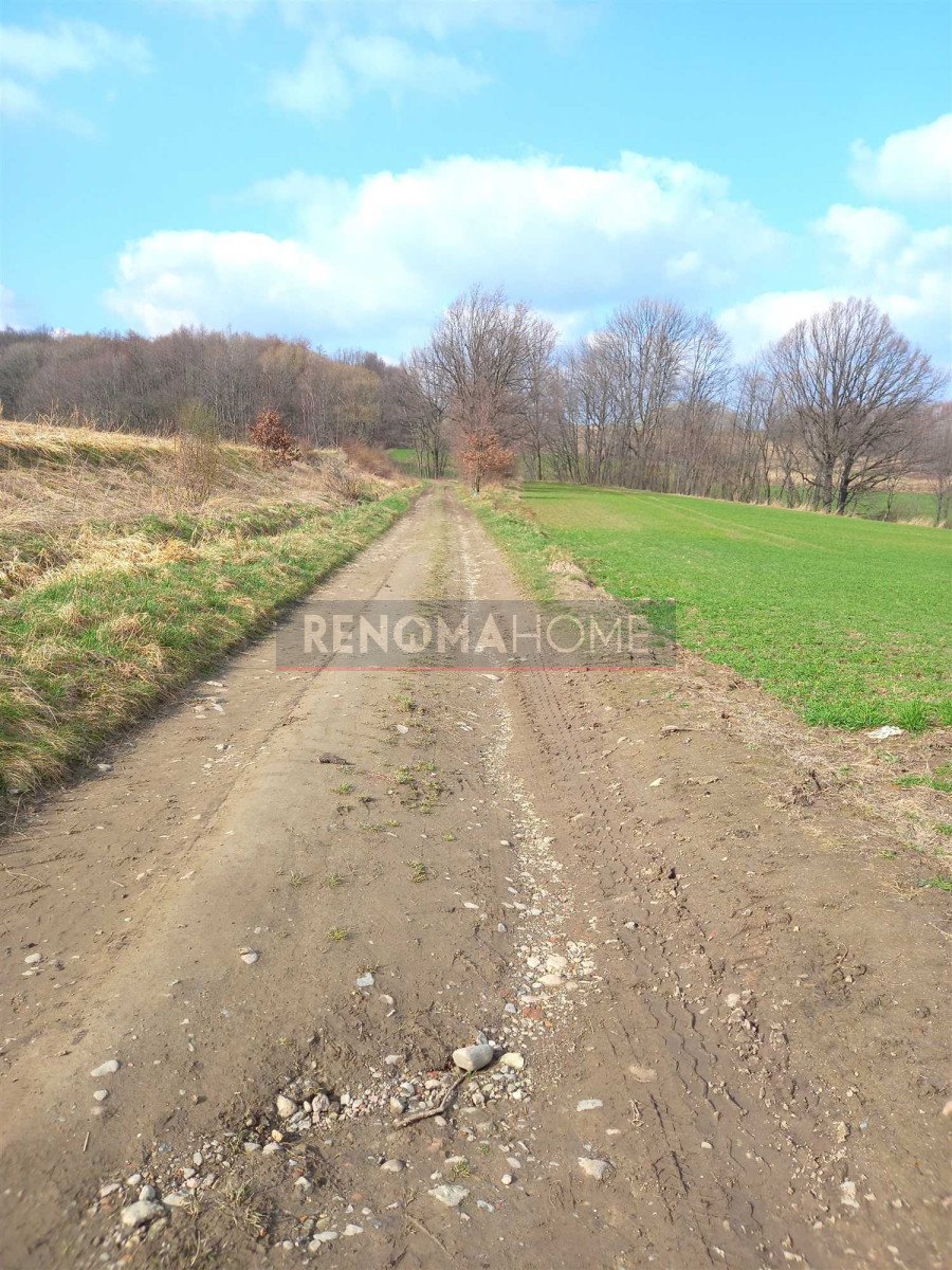 Działka budowlana na sprzedaż Witoszów Górny  1 518m2 Foto 2