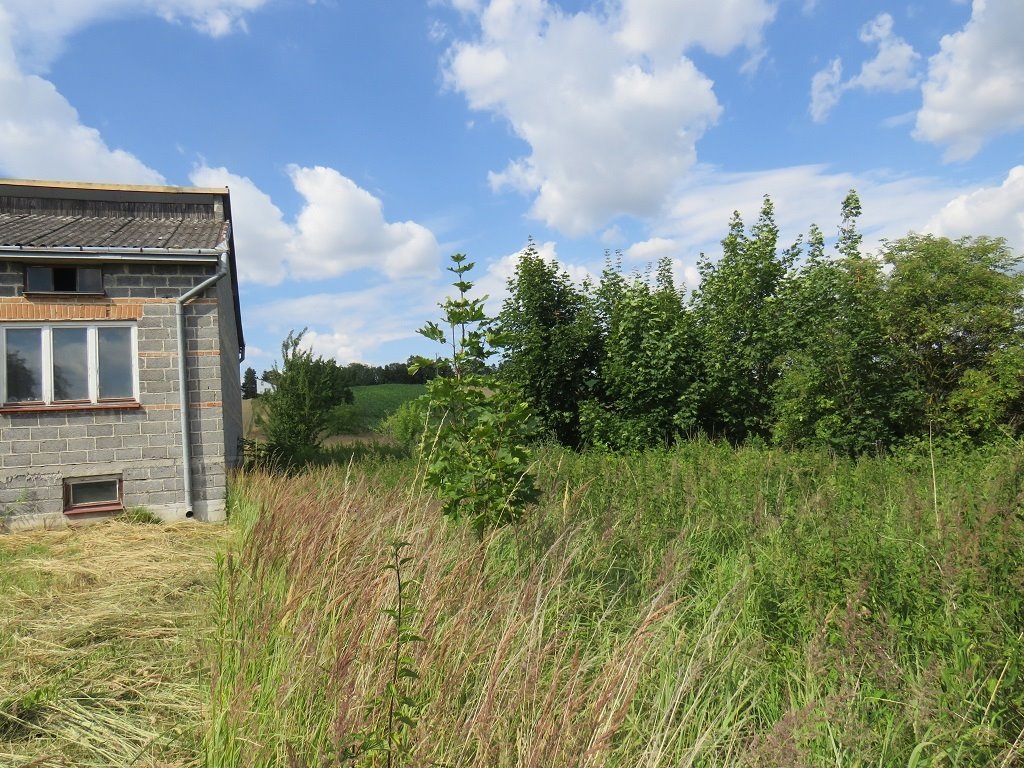 Działka budowlana na sprzedaż Proszowice  1 566m2 Foto 2