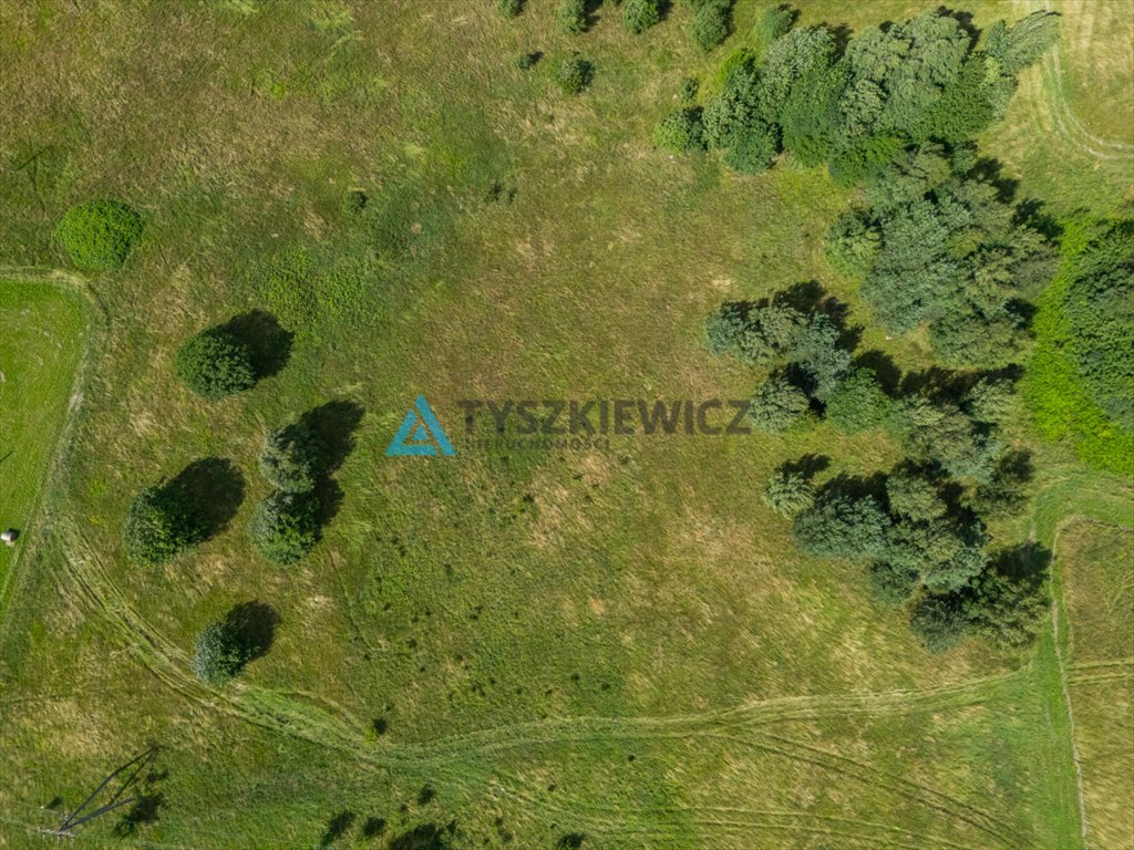 Zdjęcie 5