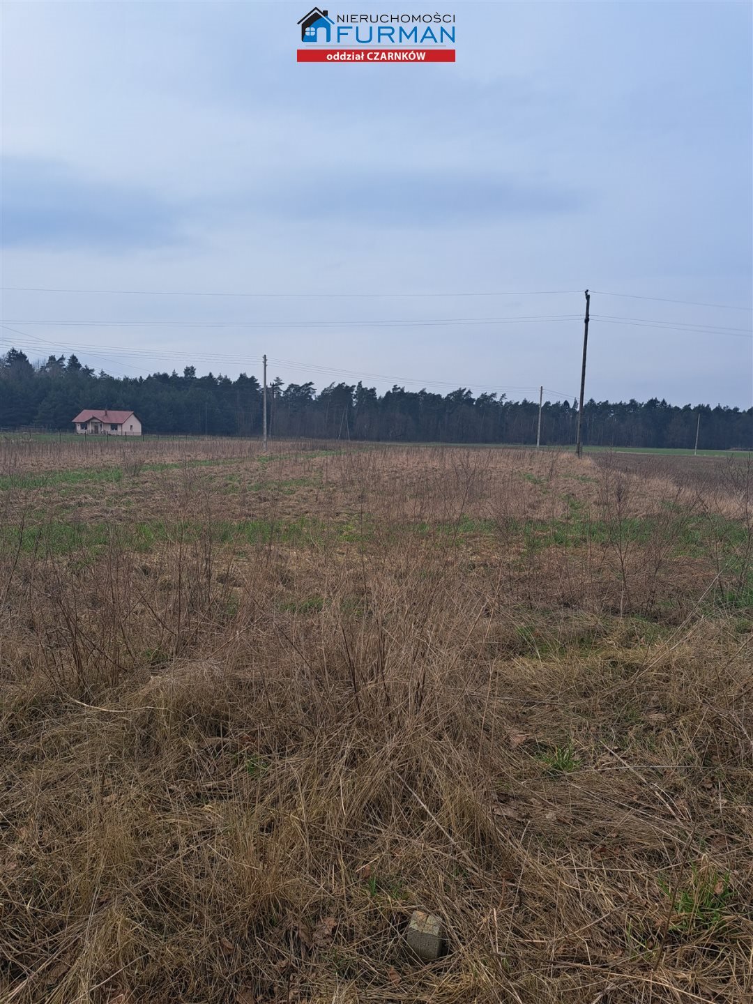 Zapraszam do obejrzenia działki 4 378 m² z mediami i warunkami zabudowy Krucz  4 378m2 Foto 1