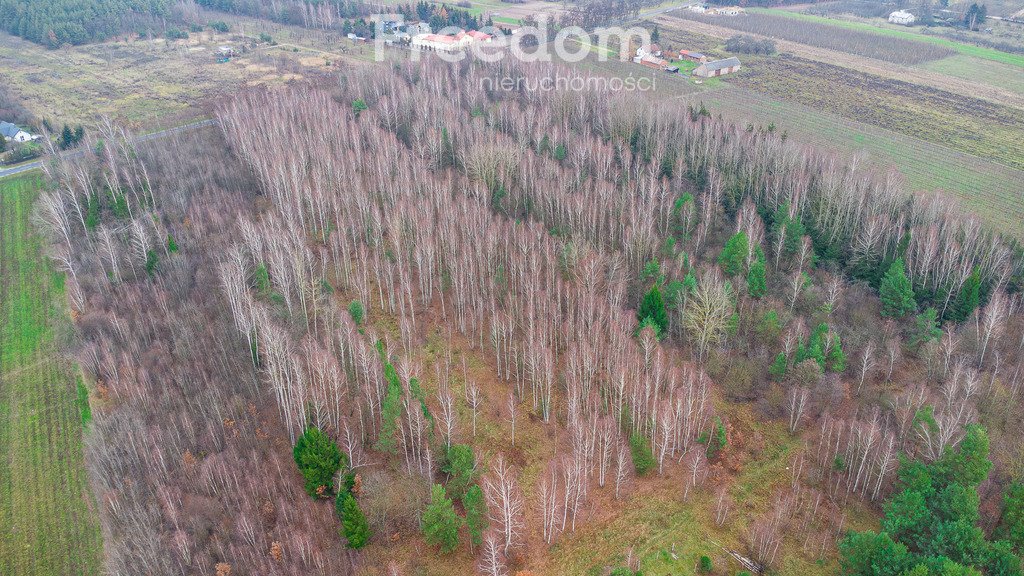 Działka inna na sprzedaż Suchostruga  18 600m2 Foto 14