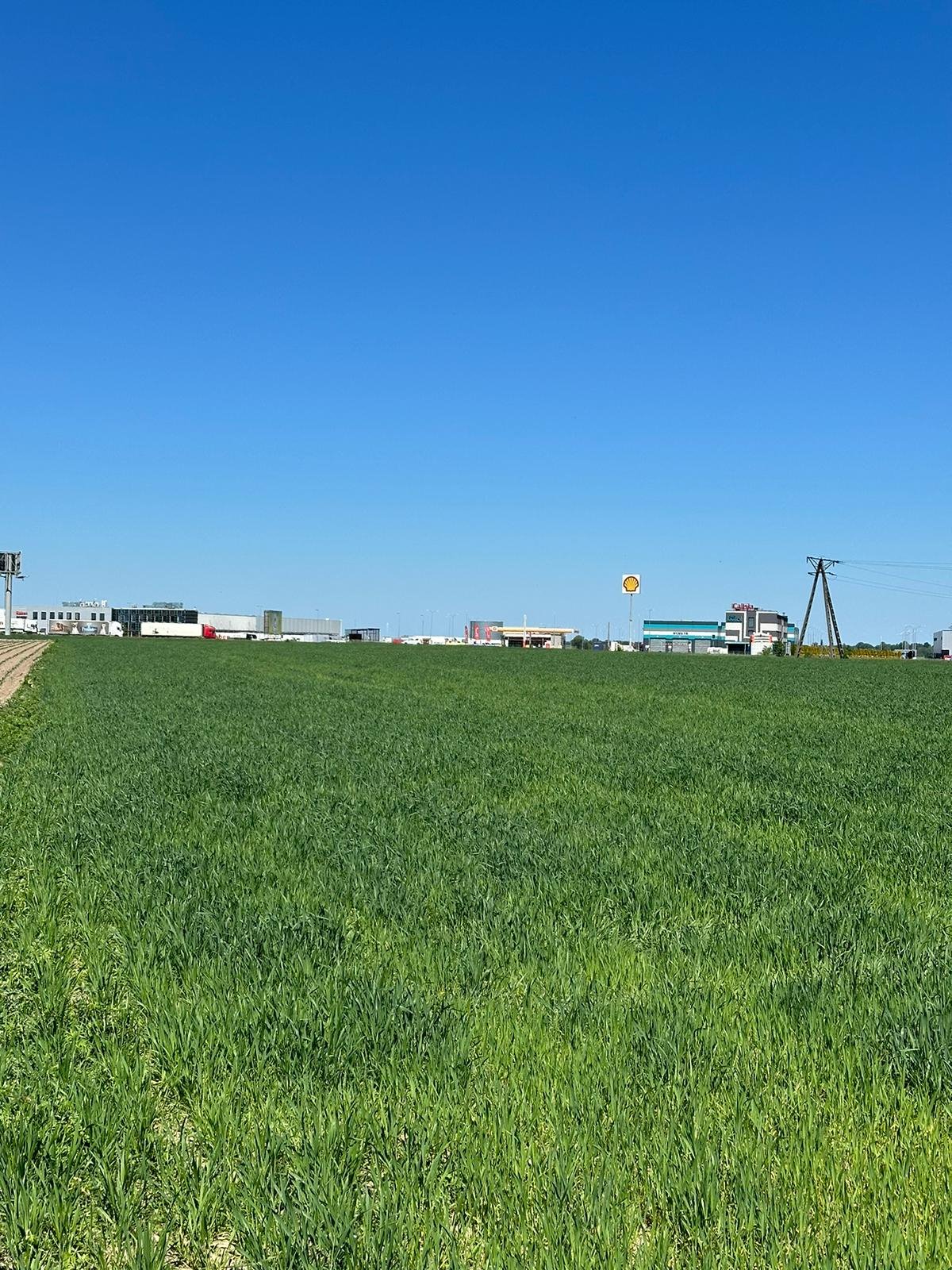 Działka rolna na sprzedaż Kalisz, Nosków, Nosków, Tylna  15 071m2 Foto 2