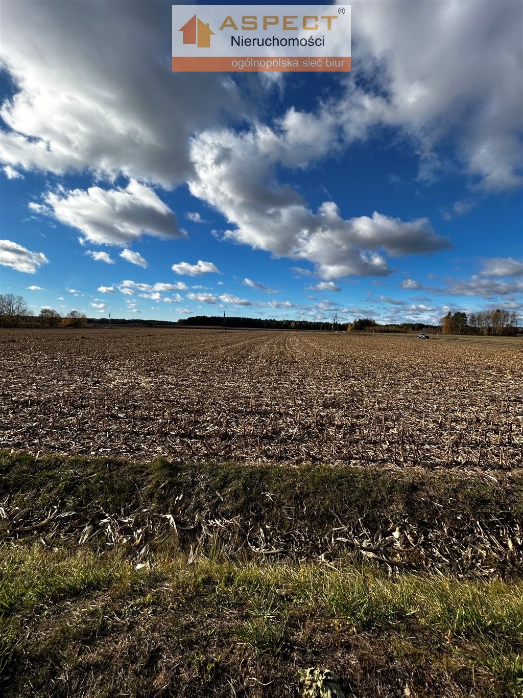 Działka budowlana na sprzedaż Zabłudów, Żuki  1 009m2 Foto 4