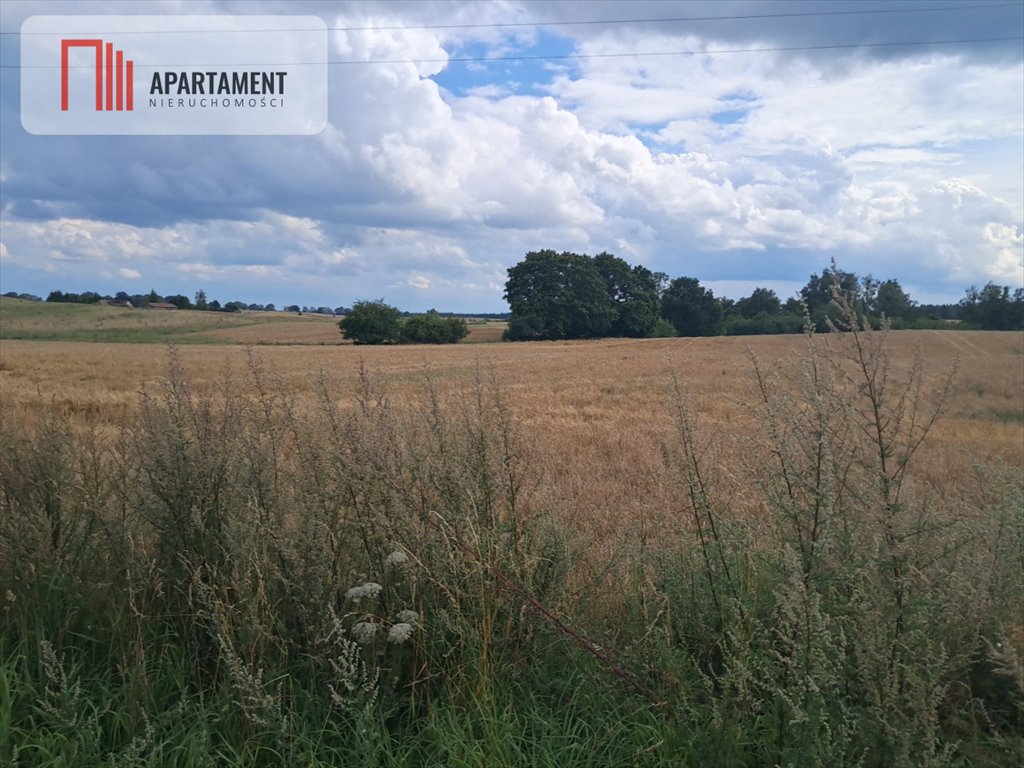 Działka gospodarstwo rolne na sprzedaż Róża Wielka  110 900m2 Foto 1