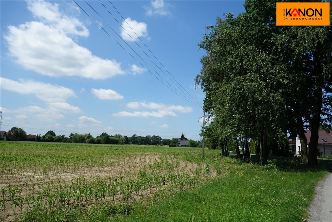 Działka budowlana na sprzedaż Ochaby Wielkie  32 000m2 Foto 5