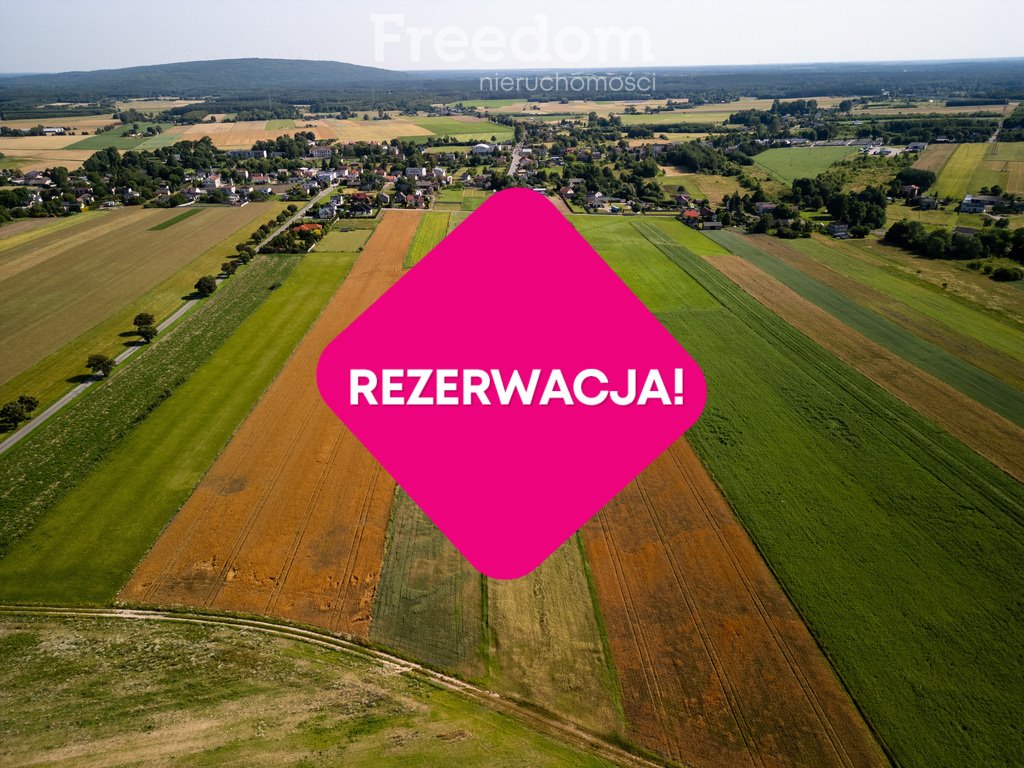 Działka budowlana na sprzedaż Dobryszyce, Polna  15 000m2 Foto 2