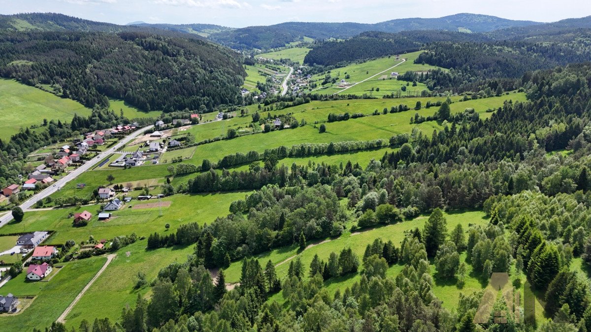 Działka rolna na sprzedaż Nowa Wieś  38 500m2 Foto 5