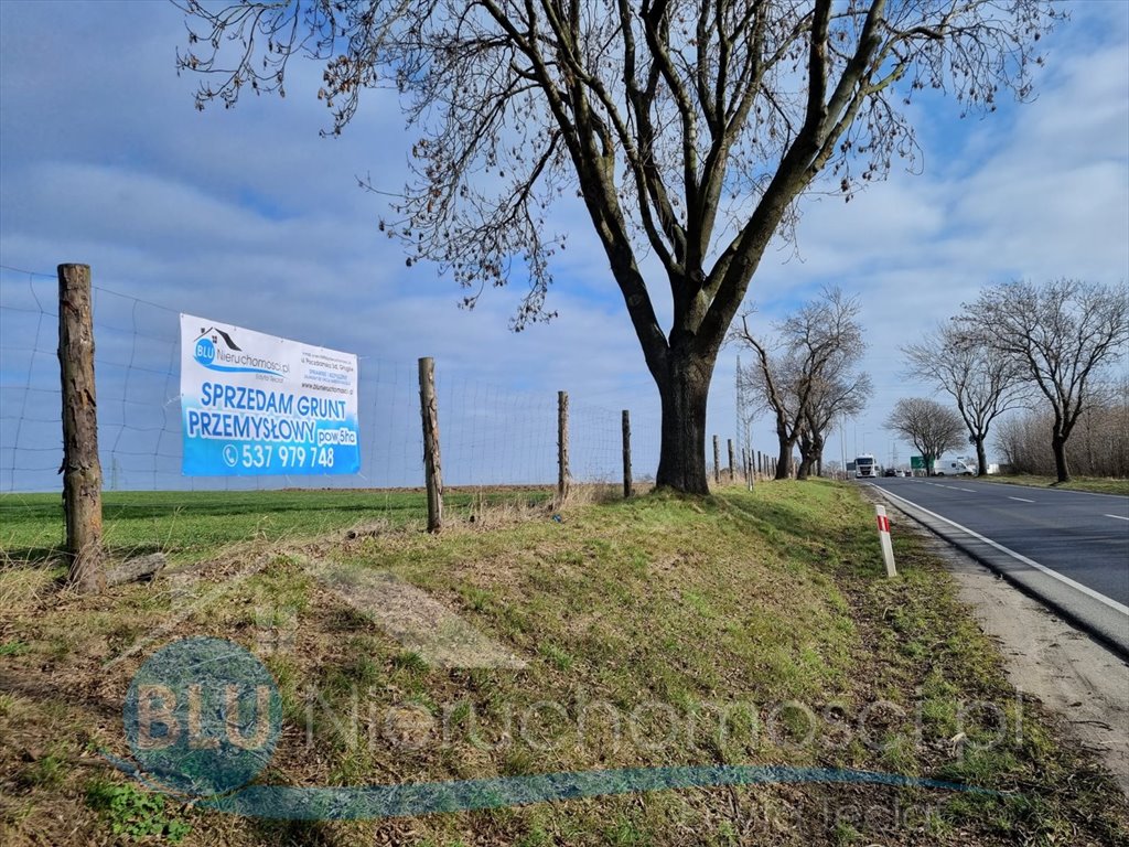Grunt przemysłowy 5 ha przy drodze krajowej nr 12 - negocjacje Ruszowice  50 100m2 Foto 1