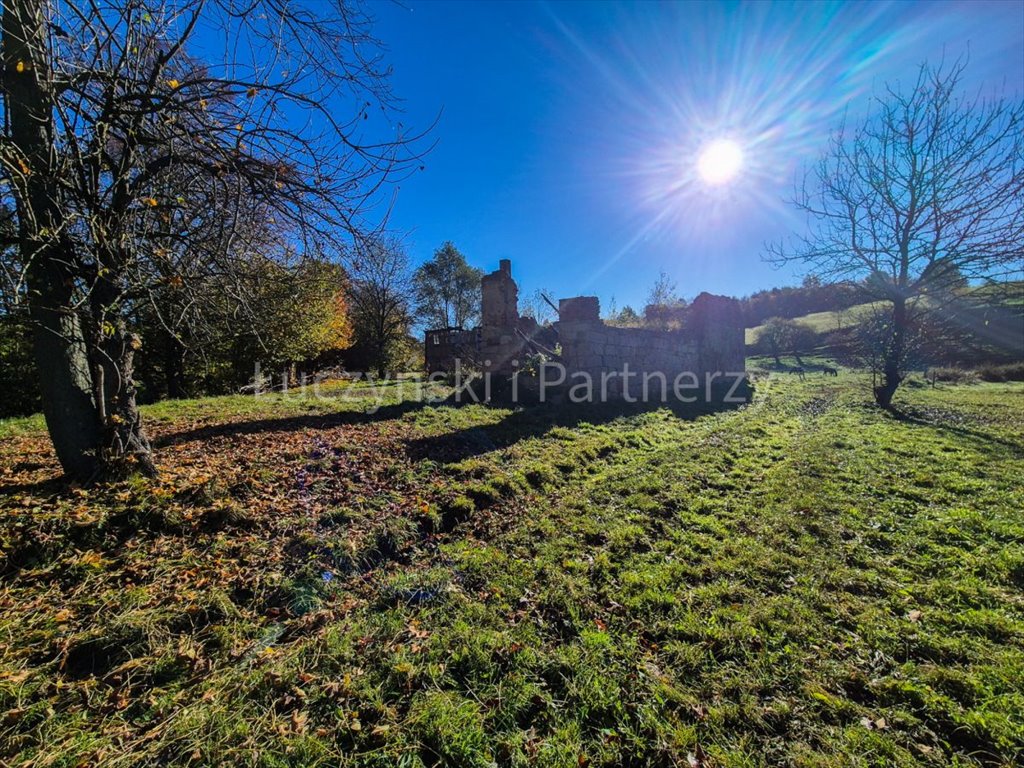 Polecam działkę 6301 m² z historią i potencjałem w Czernicy Czernica  6 301m2 Foto 1